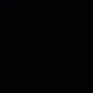 Meet your Posher, Mikey